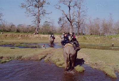 340 Elephant riding in Chitwan National Park.jpg